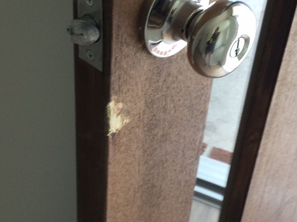 Termites and pest risk, Wollert